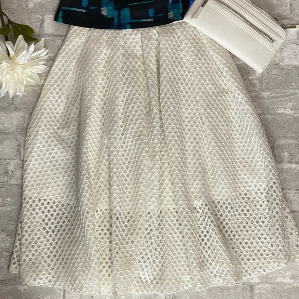 SOLD | Elegant Perforated Eyelet Poodle Skirt NWOT ⚡️HOST PICK⚡️ - Picture 3 of 14